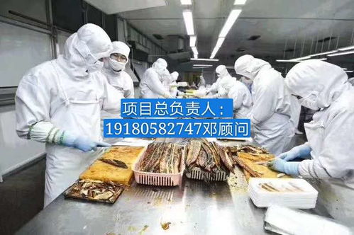 普瑞瑪扳手泵 報價、廠家與軟件代理服務全解析